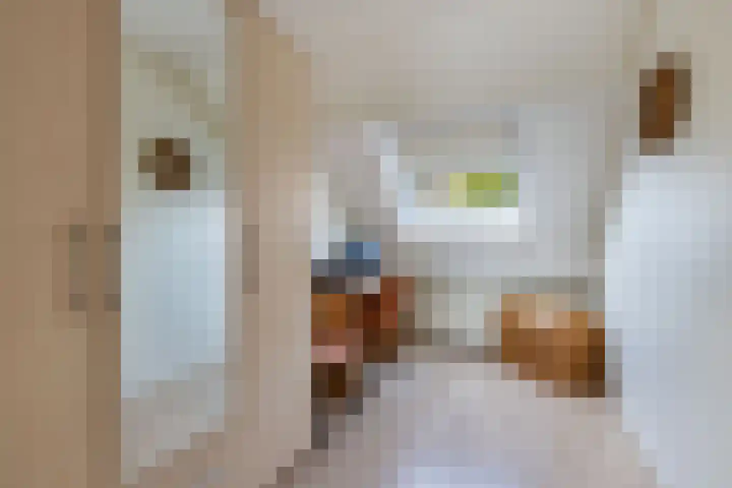 Rietlanden 10 Steenwijk thumbnail 27