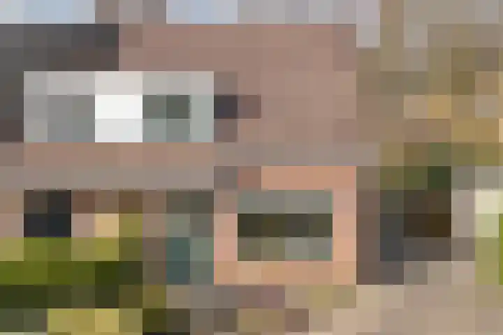 Rietlanden 10 Steenwijk thumbnail 29