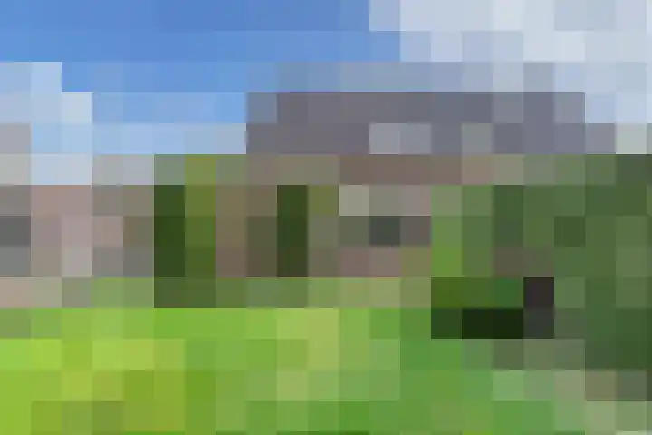 Rietlanden 10 Steenwijk thumbnail 30