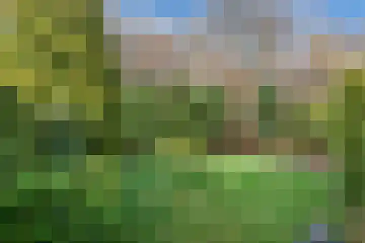 Rietlanden 10 Steenwijk thumbnail 32