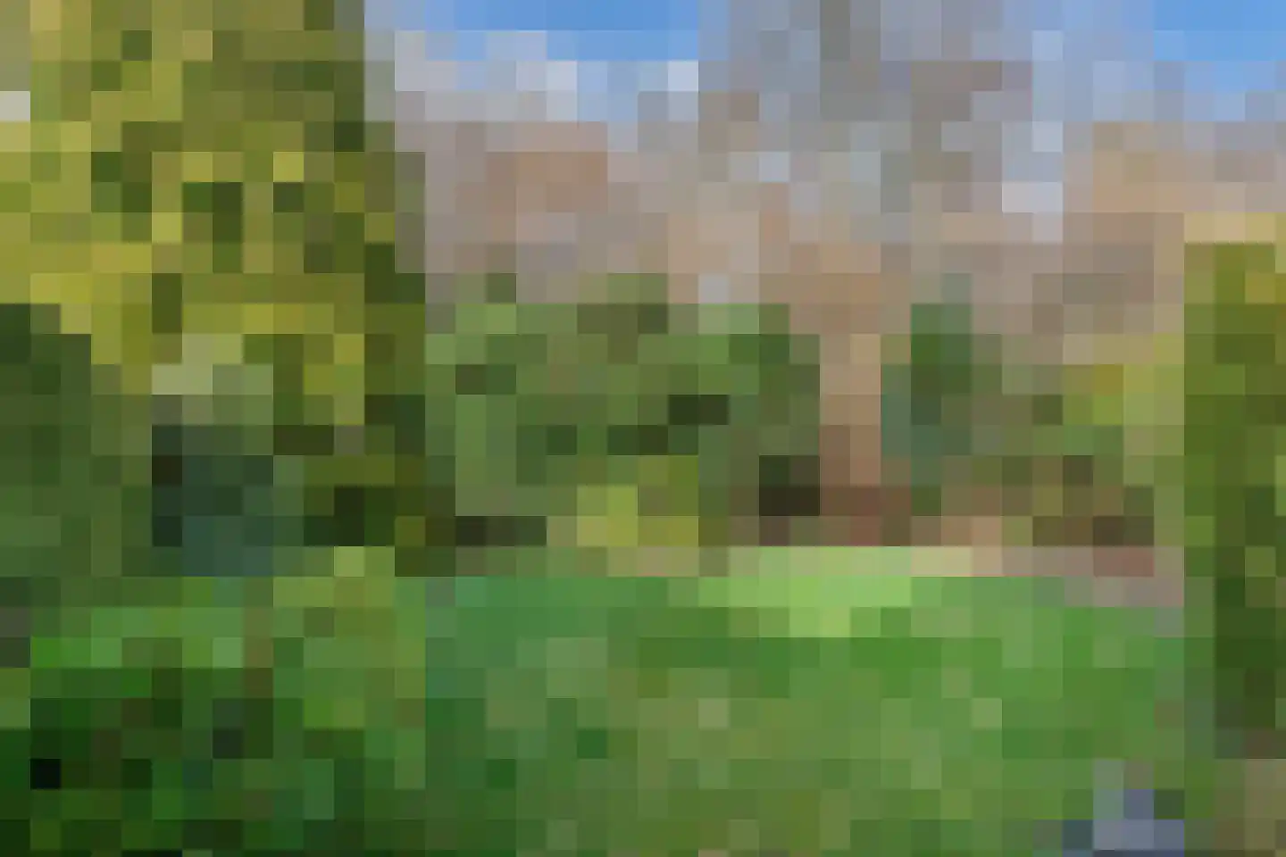 Rietlanden 10 Steenwijk thumbnail 32