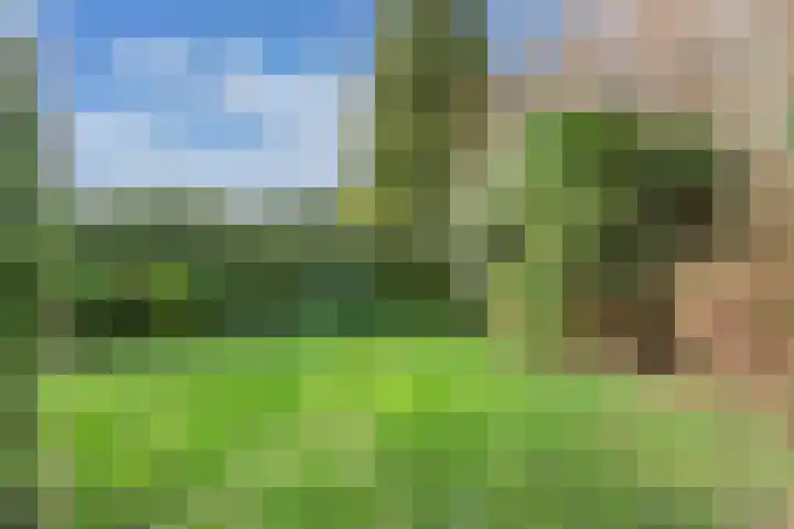 Rietlanden 10 Steenwijk thumbnail 33