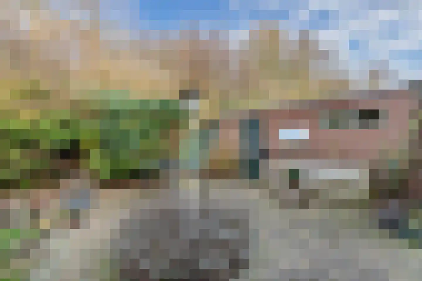 Rietlanden 10 Steenwijk thumbnail 34