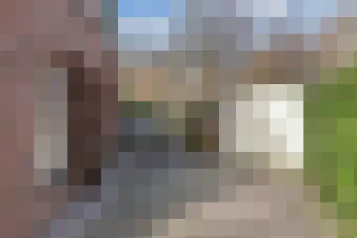 Rietlanden 10 Steenwijk thumbnail 36