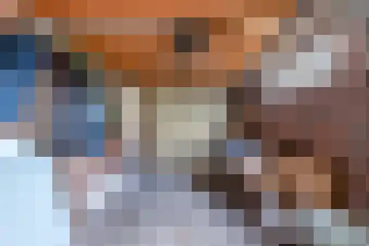 Rietlanden 10 Steenwijk thumbnail 37