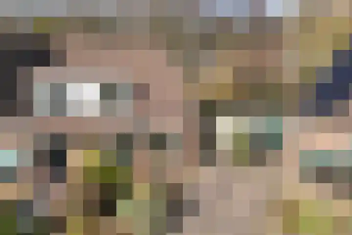 Rietlanden 10 Steenwijk thumbnail 39
