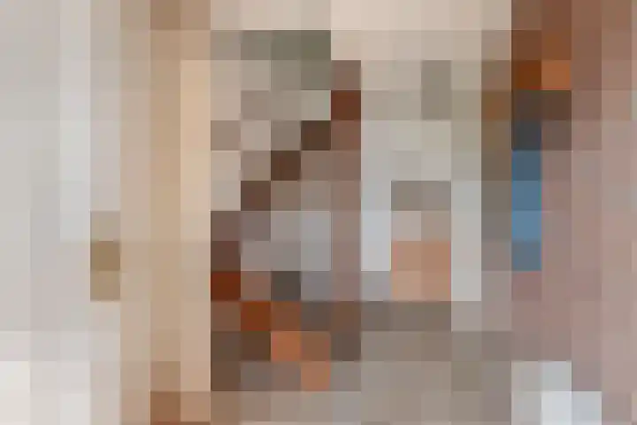 Rietlanden 10 Steenwijk thumbnail 4