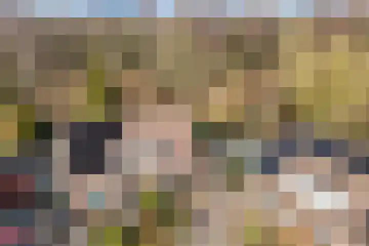 Rietlanden 10 Steenwijk thumbnail 40