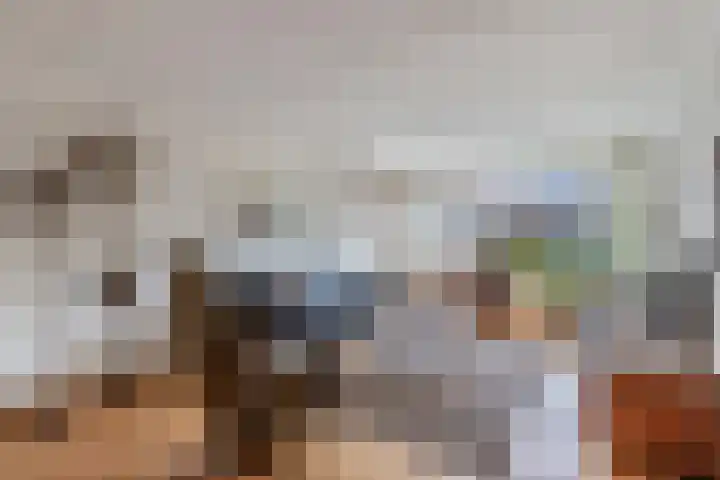 Rietlanden 10 Steenwijk thumbnail 6