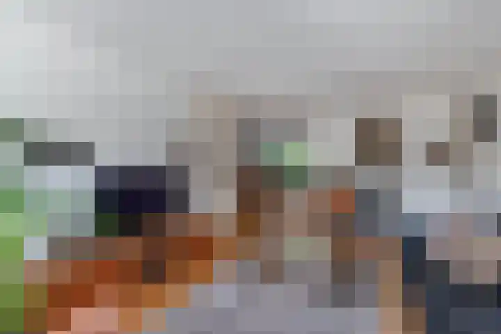 Rietlanden 10 Steenwijk thumbnail 9