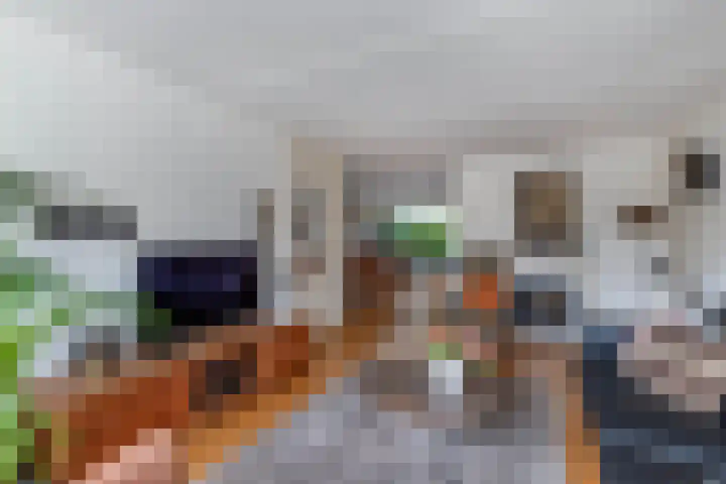 Rietlanden 10 Steenwijk thumbnail 9
