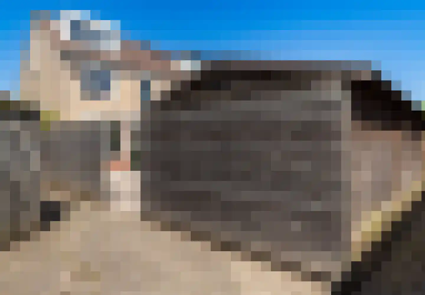 Rietlanden 20 Leimuiden thumbnail 23