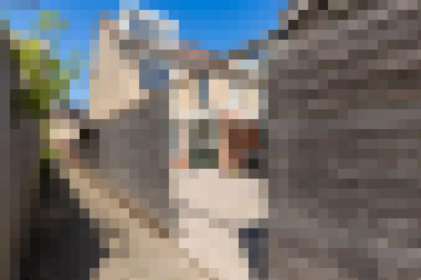 Rietlanden 20 Leimuiden thumbnail 24