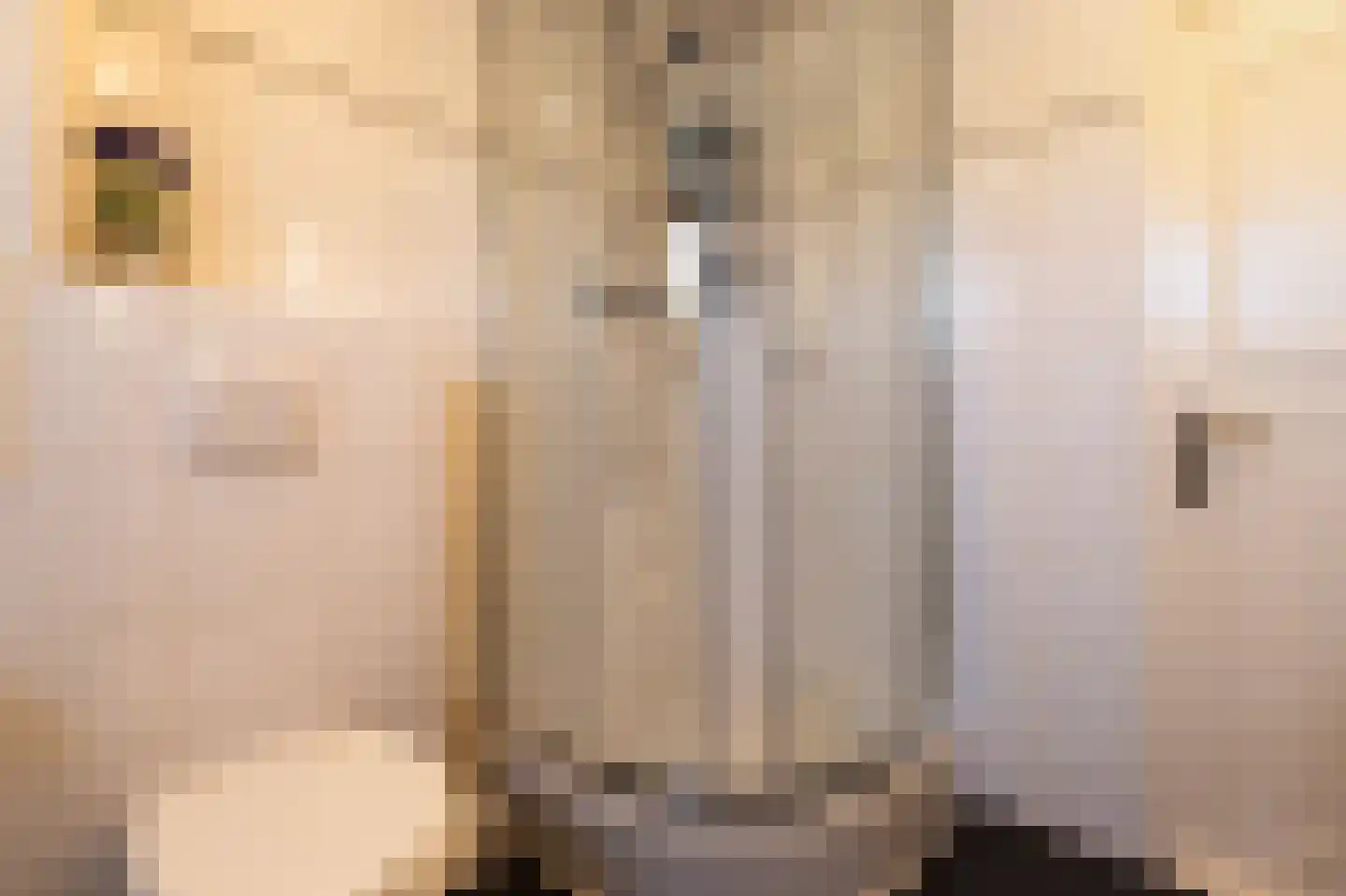 Rietlanden 20 Leimuiden thumbnail 33