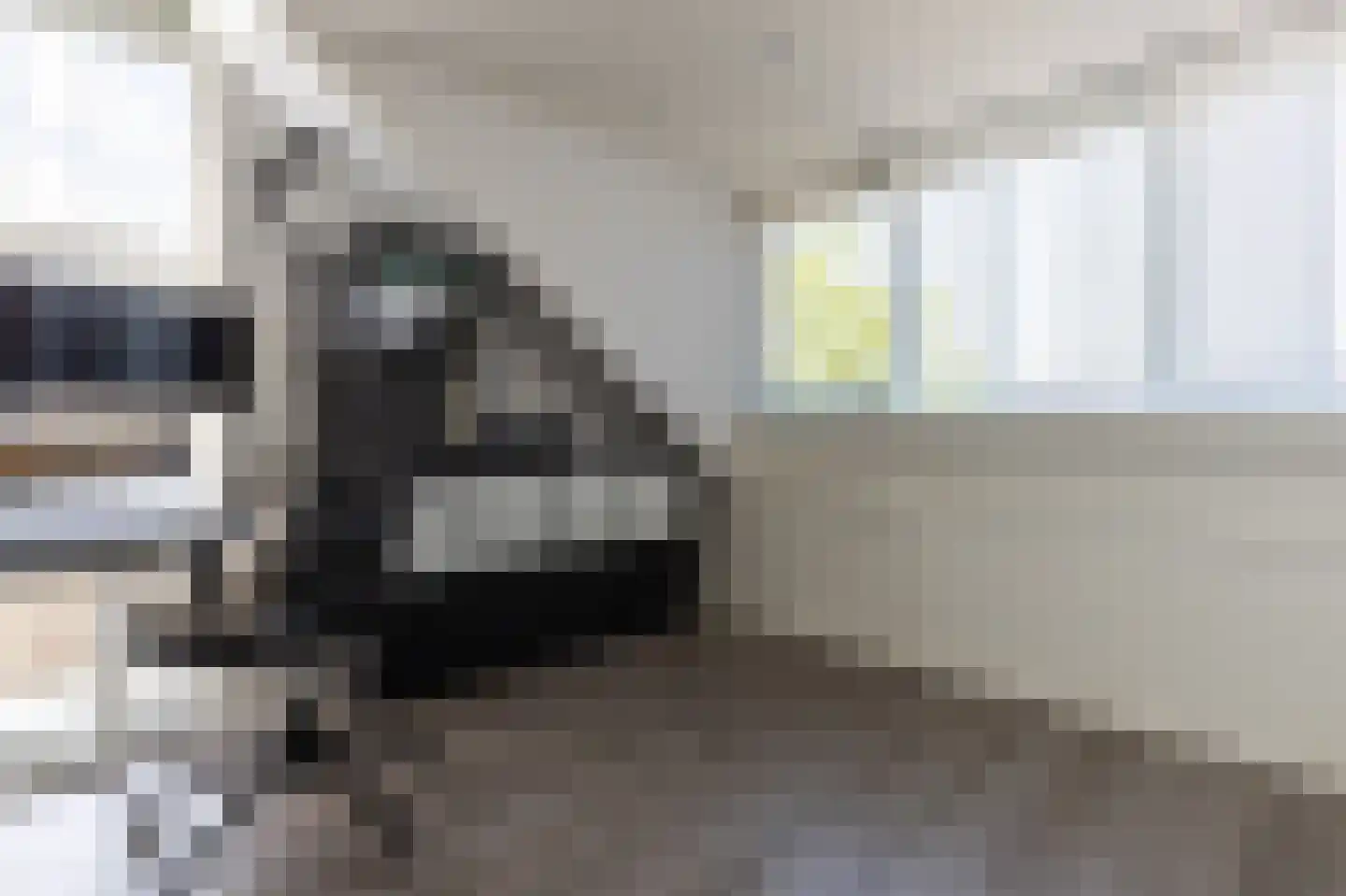 Rietlanden 20 Leimuiden thumbnail 39