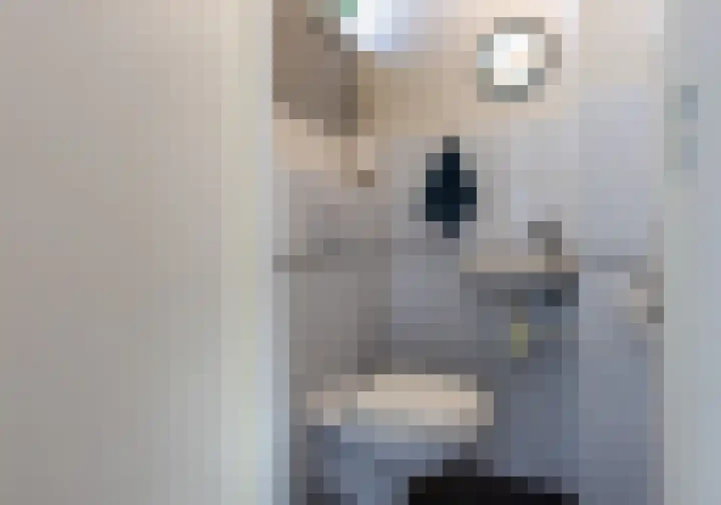 Rietlanden 20 Leimuiden thumbnail 6