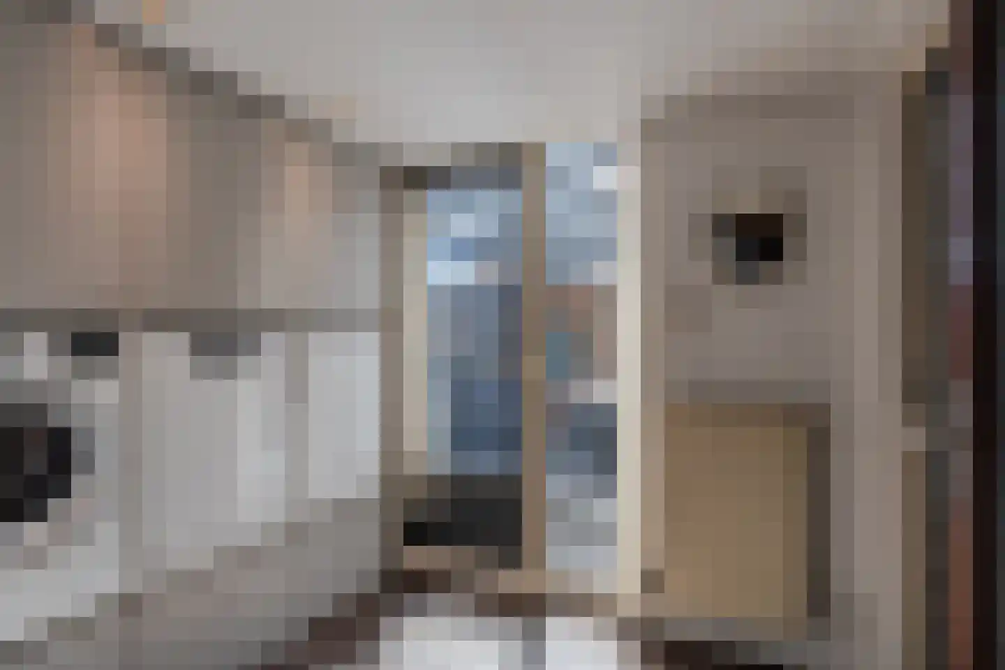 Rietlanden 4 Steenwijk thumbnail 15