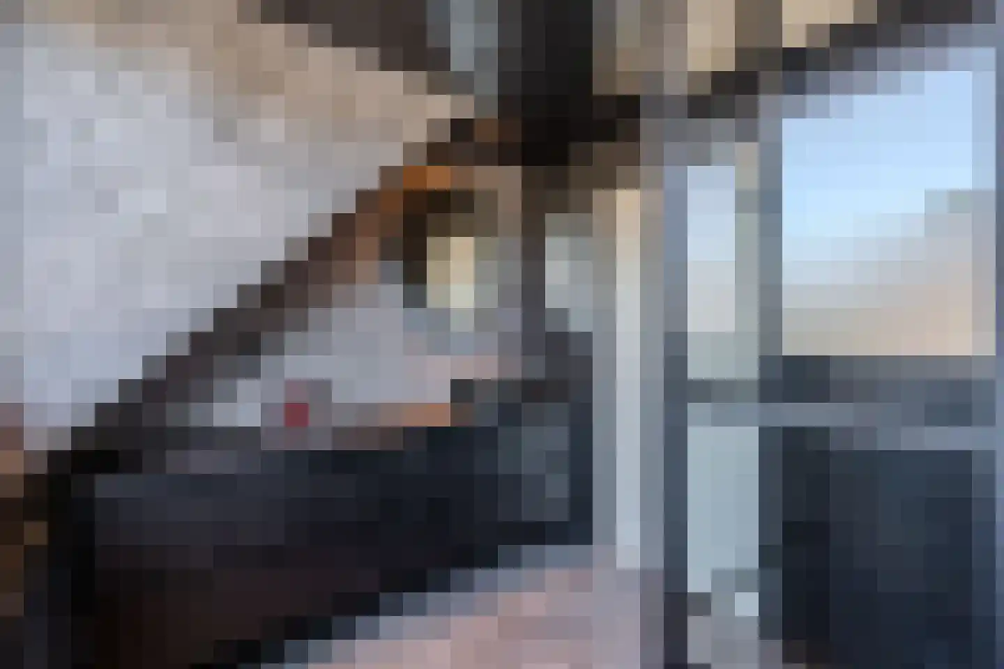 Rietlanden 4 Steenwijk thumbnail 20