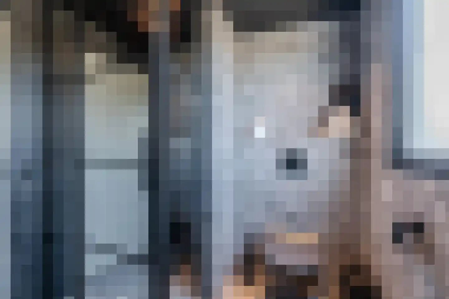 Rietlanden 4 Steenwijk thumbnail 22