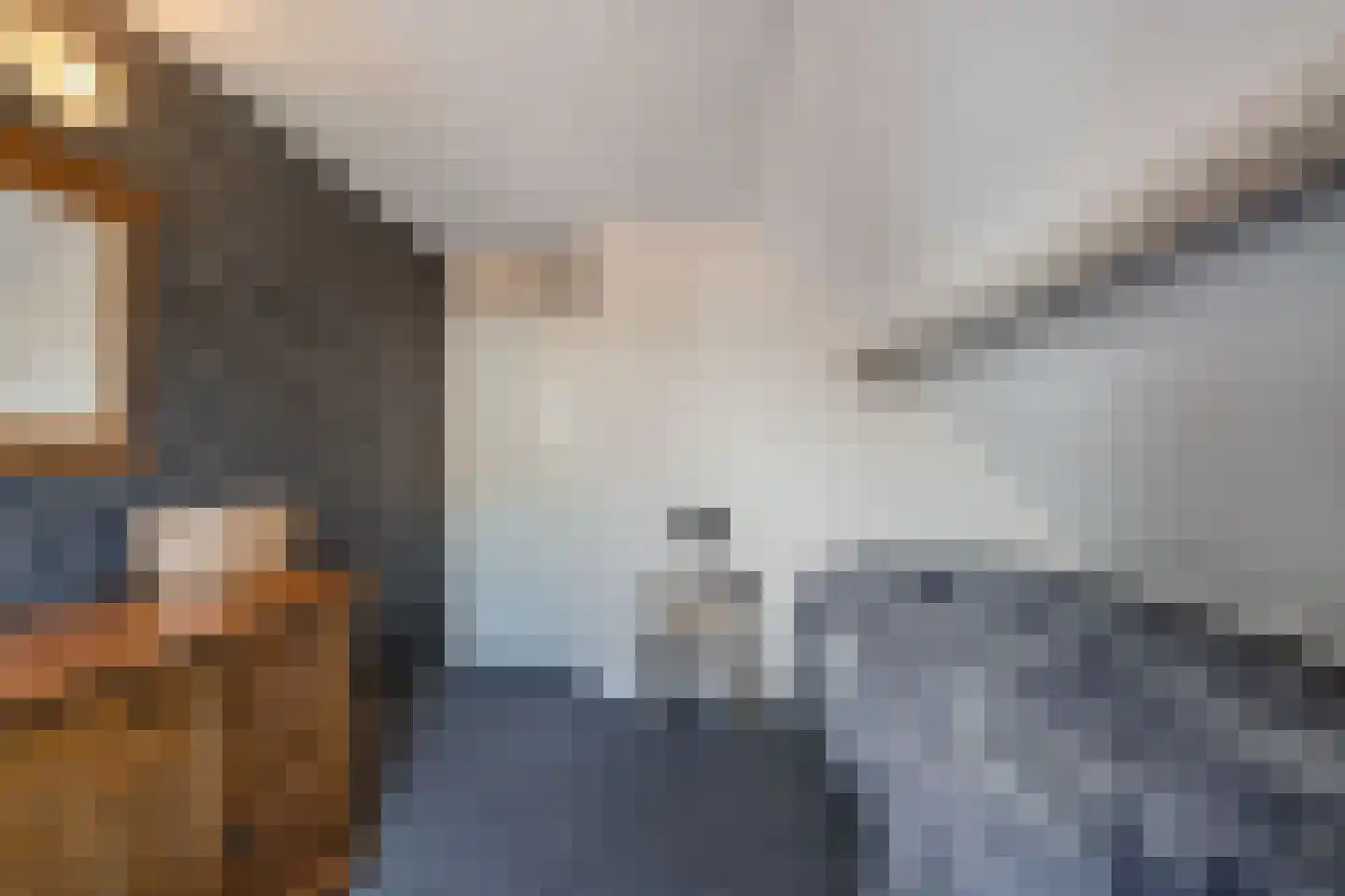 Rietlanden 4 Steenwijk thumbnail 24