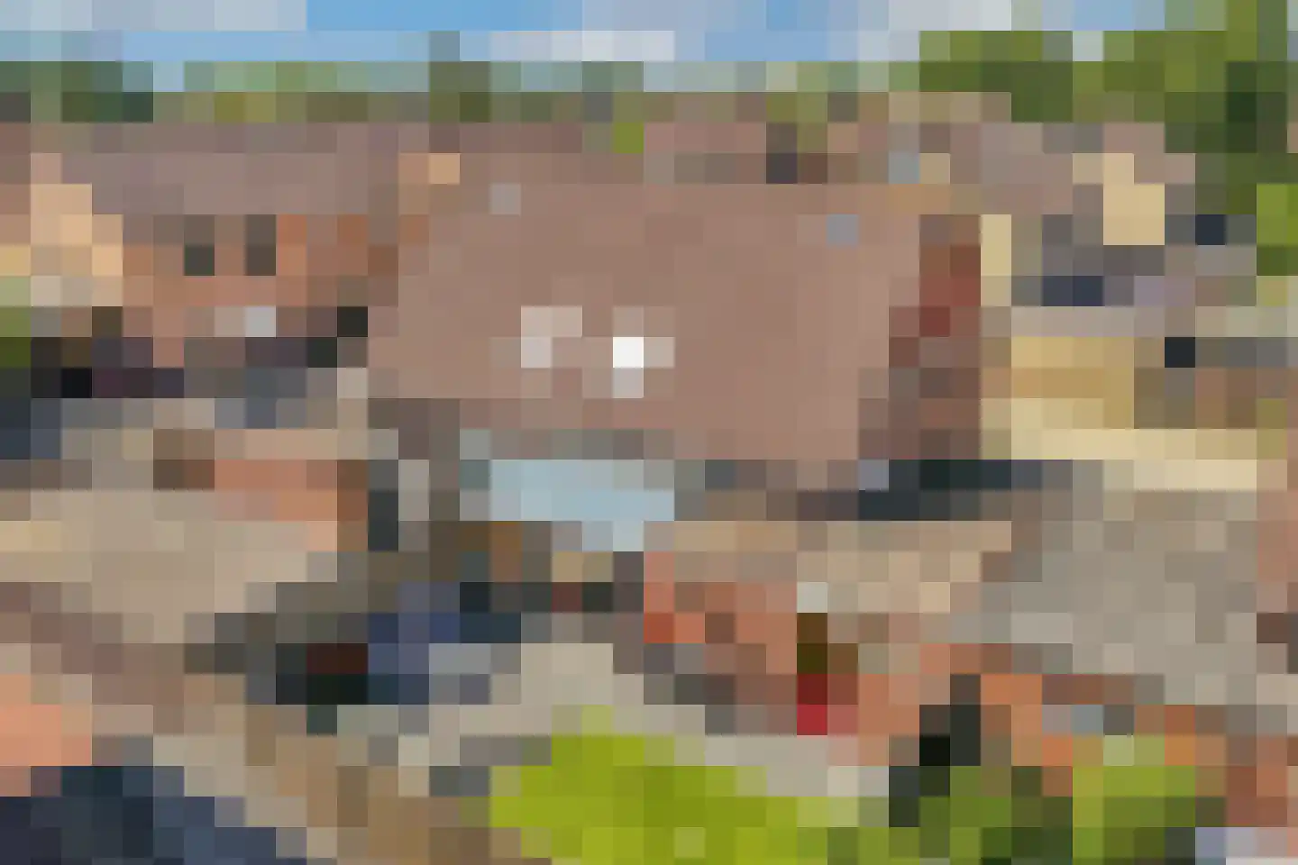 Rietlanden 4 Steenwijk thumbnail 32