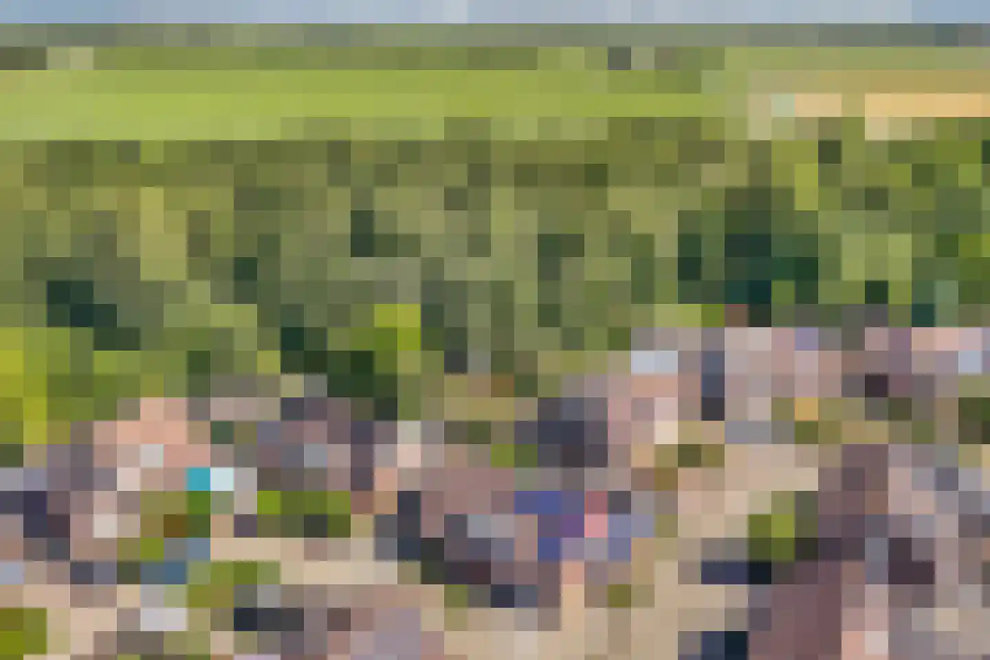 Rietlanden 4 Steenwijk thumbnail 36