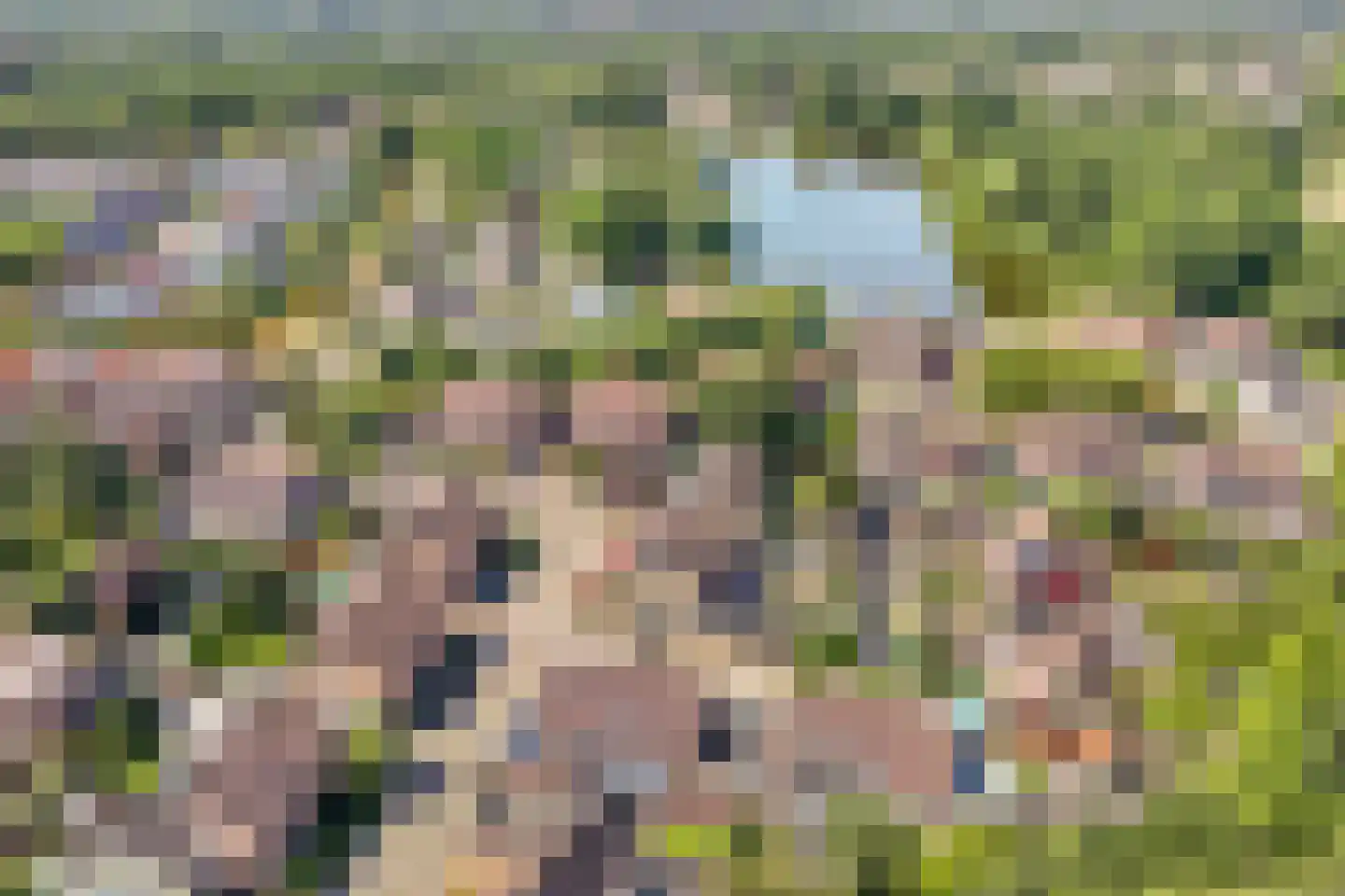 Rietlanden 4 Steenwijk thumbnail 37