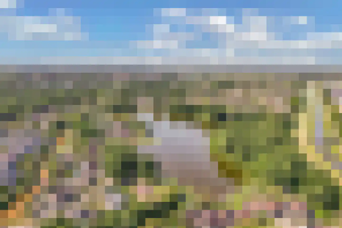 Rietlanden 4 Steenwijk thumbnail 38