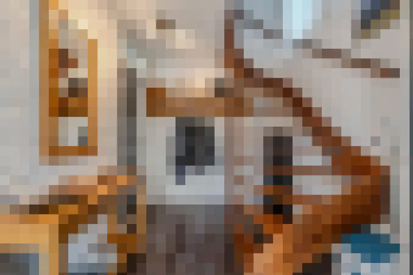 Rietlanden 4 Steenwijk thumbnail 6