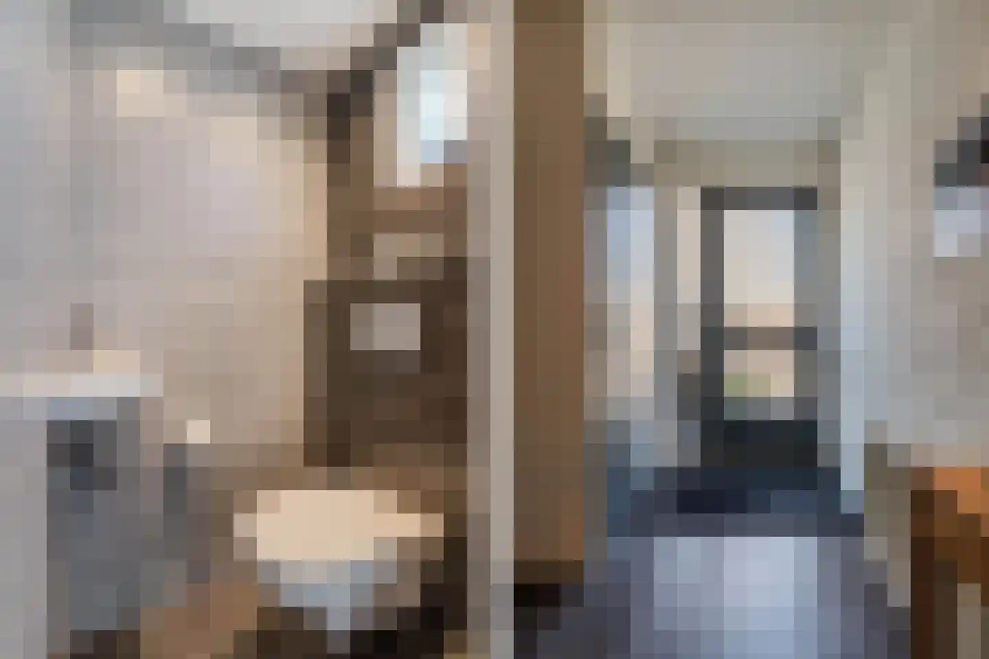Rietlanden 4 Steenwijk thumbnail 7