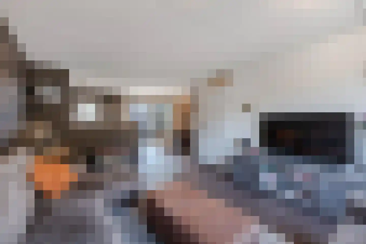 Rietlanden 4 Steenwijk thumbnail 9