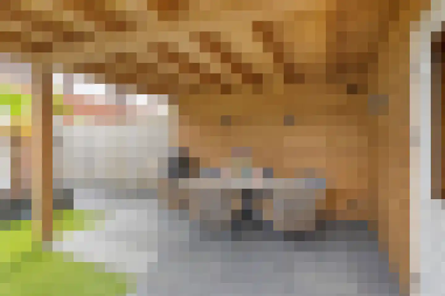Rietlanden 48 Ooij thumbnail 21