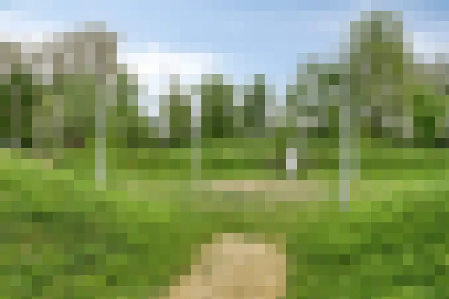 Rietlanden 48 Ooij thumbnail 31
