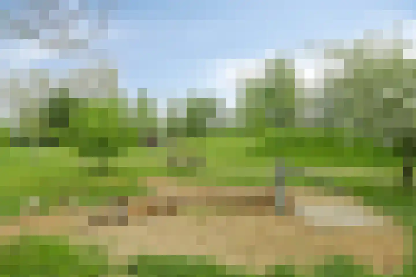 Rietlanden 48 Ooij thumbnail 33
