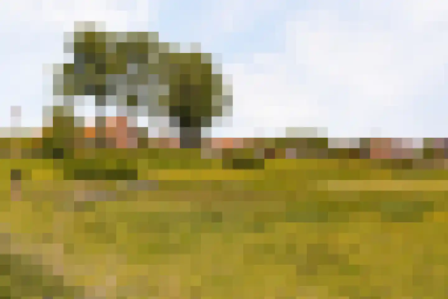 Rietlanden 48 Ooij thumbnail 35
