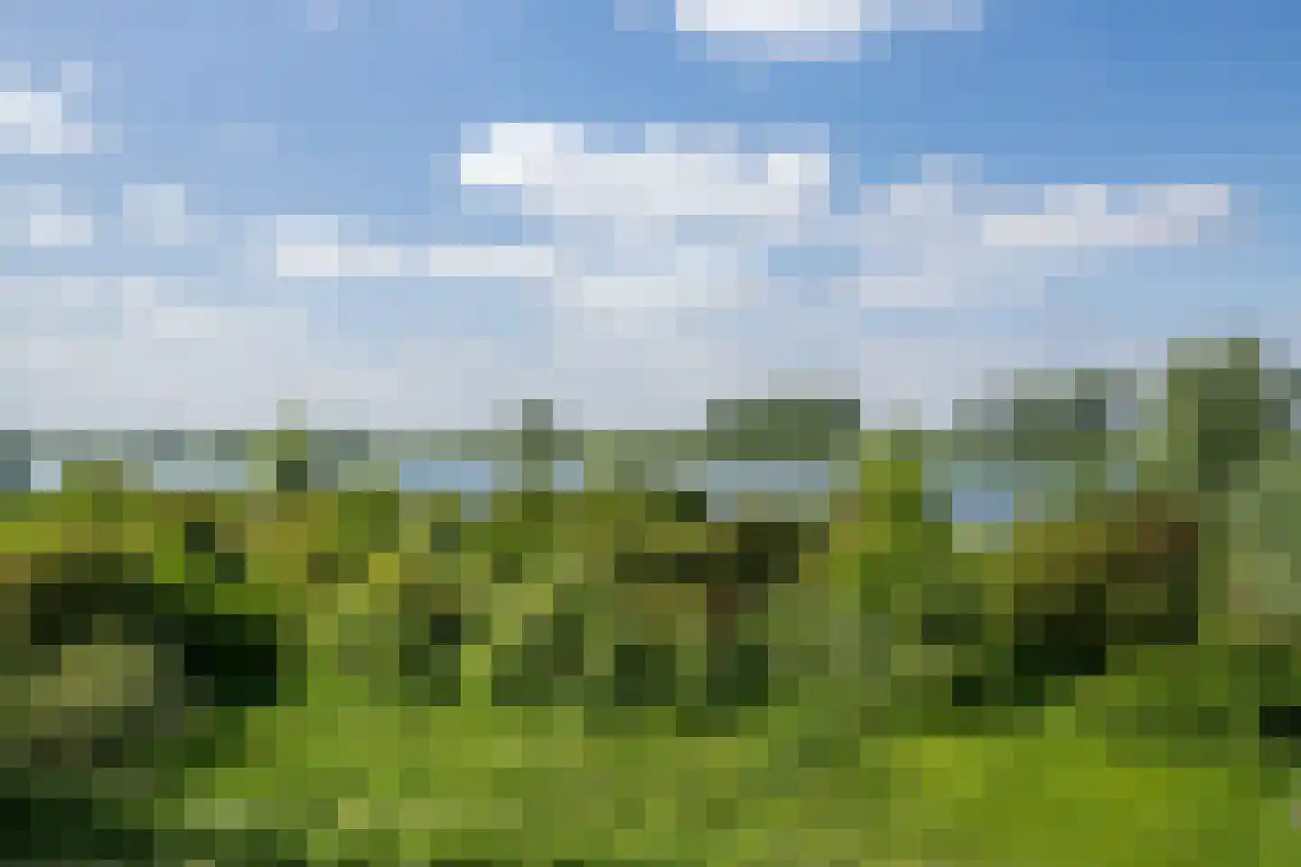 Rietlanden 48 Ooij thumbnail 38