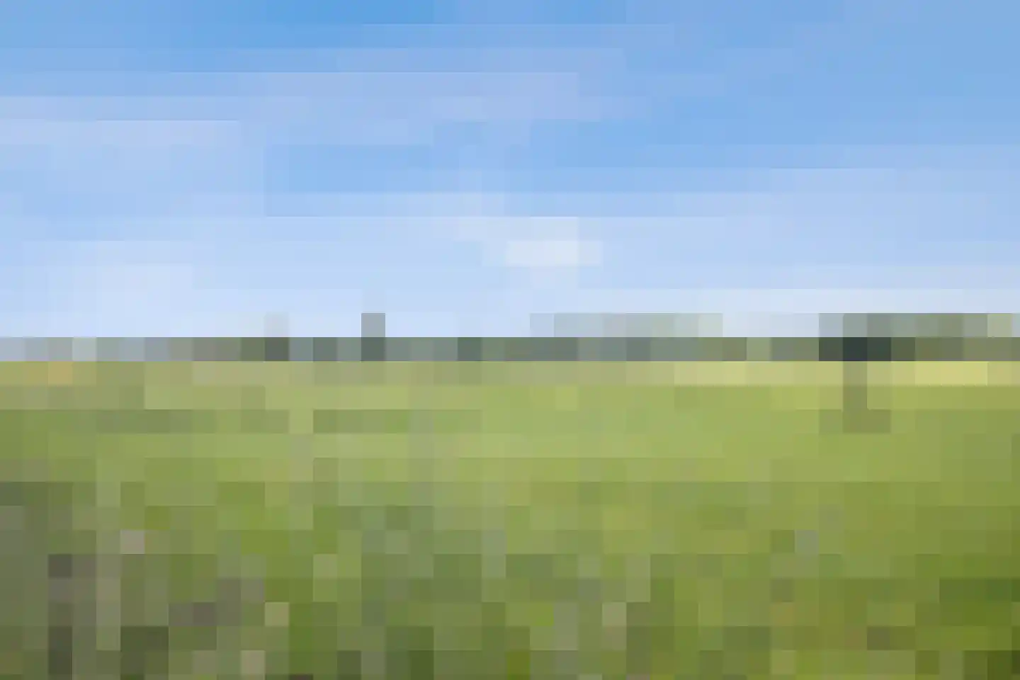 Rietlanden 48 Ooij thumbnail 44