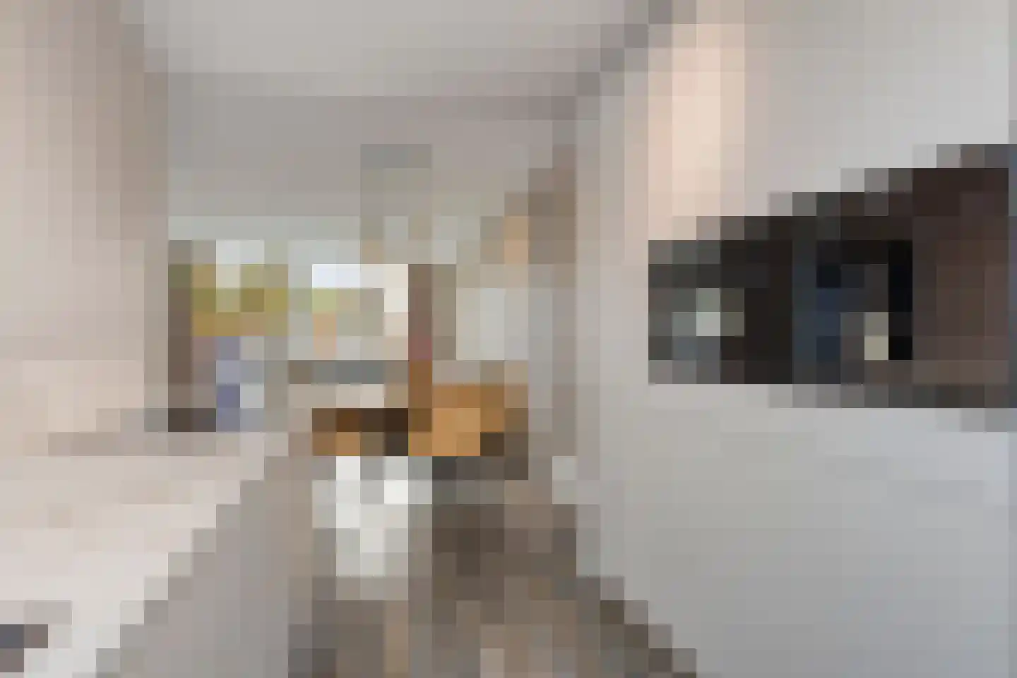 Rietlanden 48 Ooij thumbnail 7