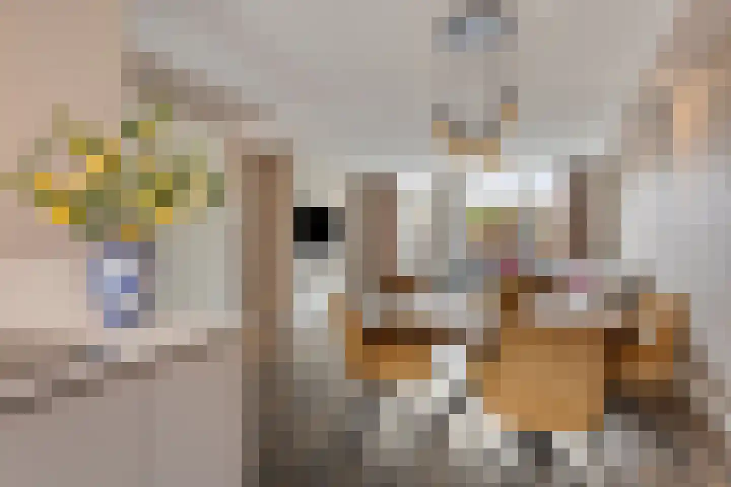 Rietlanden 48 Ooij thumbnail 8