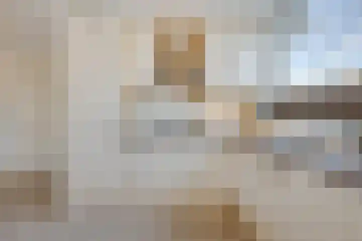 Rietlanden 7 Leimuiden thumbnail 12