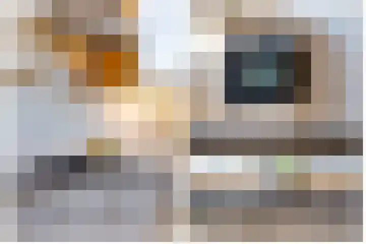 Rietlanden 7 Leimuiden thumbnail 13