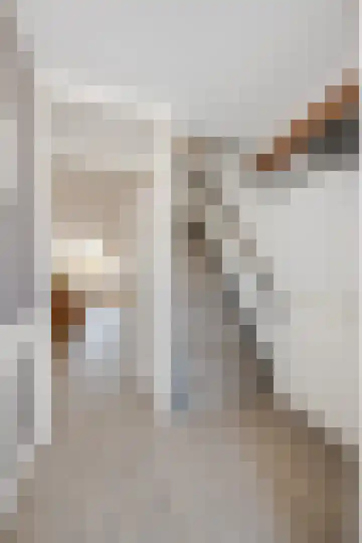 Rietlanden 7 Leimuiden thumbnail 15