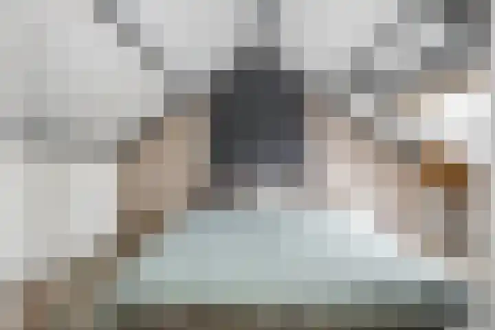 Rietlanden 7 Leimuiden thumbnail 29
