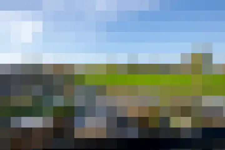 Rietlanden 7 Leimuiden thumbnail 31