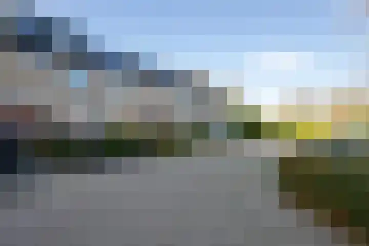 Rietlanden 7 Leimuiden thumbnail 4