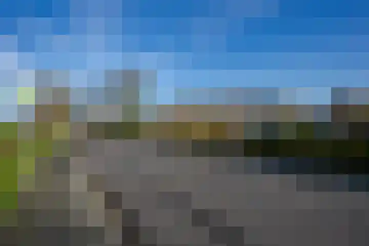Rietlanden 7 Leimuiden thumbnail 44