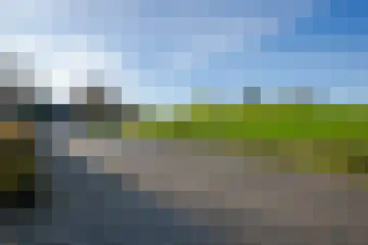 Rietlanden 7 Leimuiden thumbnail 45