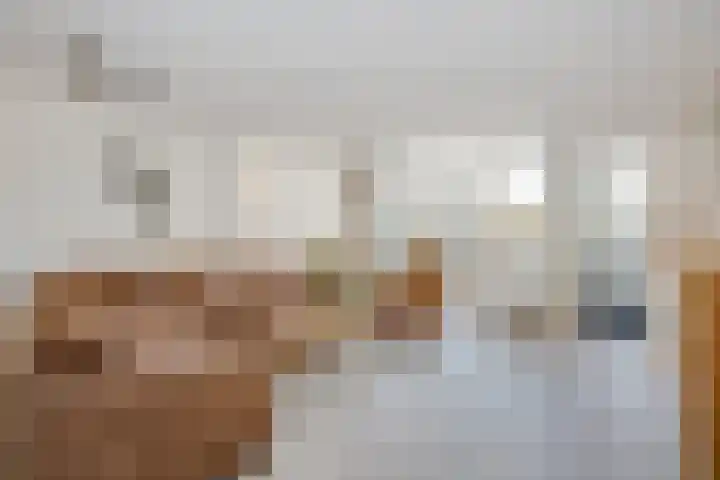 Rietlanden 7 Leimuiden thumbnail 7