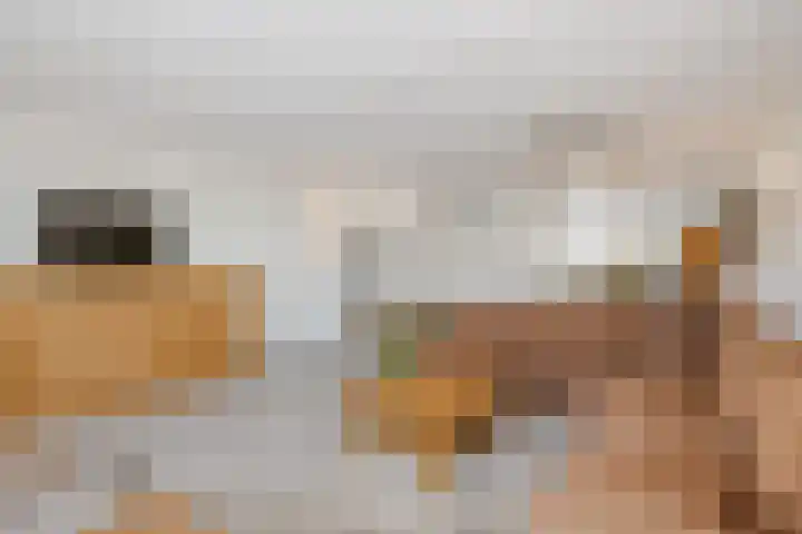 Rietlanden 7 Leimuiden thumbnail 9