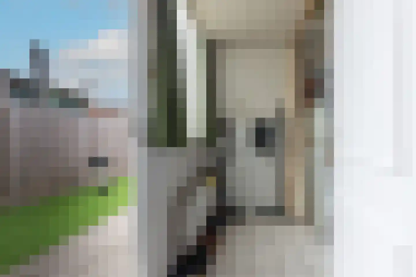 Rietlanden 85 Leimuiden thumbnail 12
